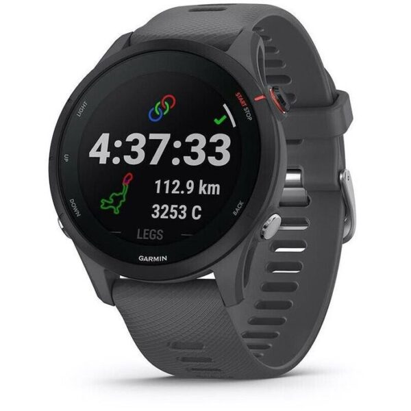 Garmin Smartwatch Forerunner 255 GPS, 46 mm, NFC, grau