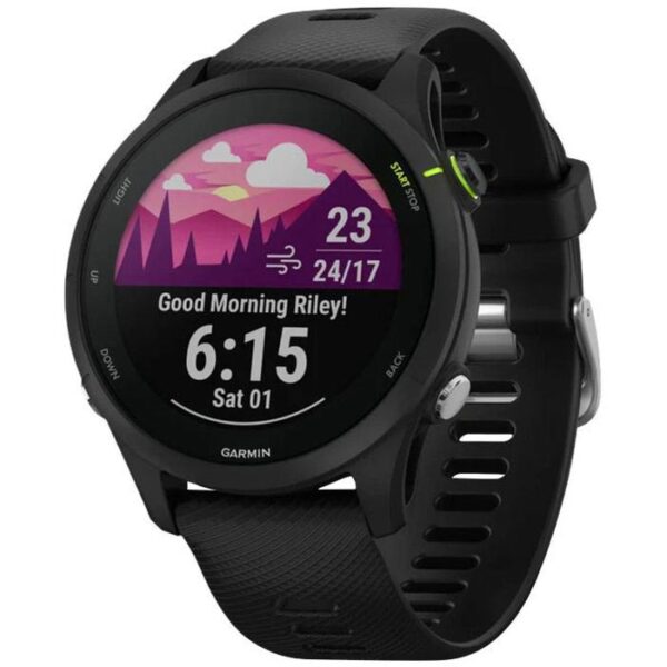 Garmin Smartwatch Forerunner 255 Music GPS, 46 mm, NFC, grau